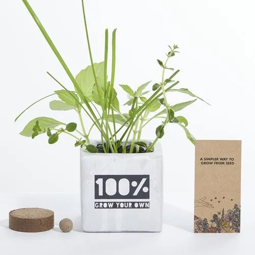Pot de Culture en Béton Personnalisable - Kit Graines Écologique