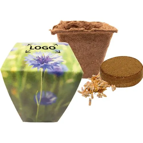Pot de Fleurs Biodégradable avec Graines de Bleuet Personnalisable