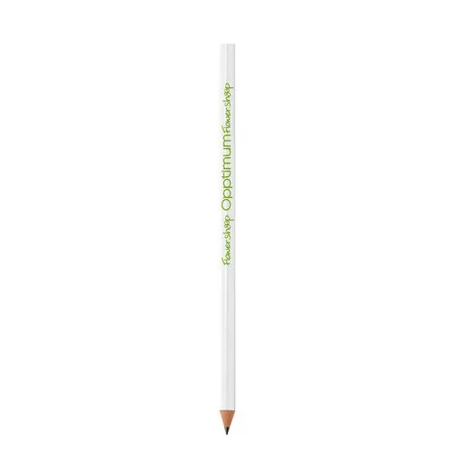 BIC®  Evolution® Classic Cut Ecolutions® crayon