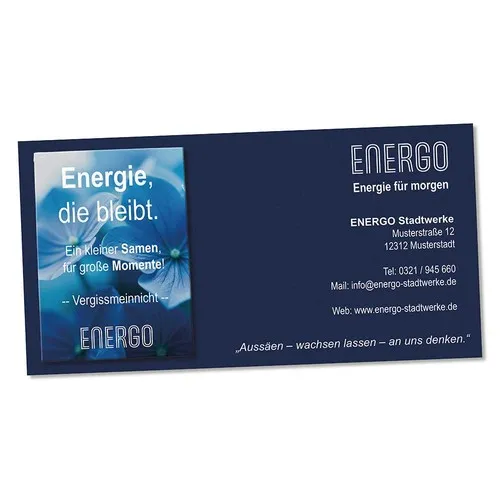 Sachet de Graines de Basilic sur Carte Publicitaire Personnalisée