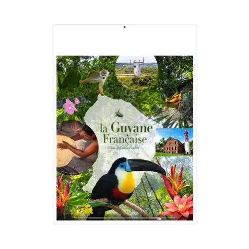 MARIANNE POP 2026 - MIDI 335 x 430 mm - CC REMBORDE - VERSO VIN - SANS MARQUAGE - IDENTIQUE RECTO VERSO