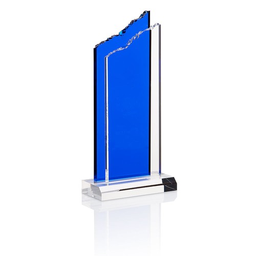 Trophée Personnalisable par Sérigraphie - Récompense Professionnelle