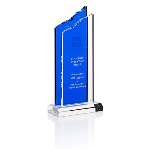 Trophée Personnalisable par Sérigraphie - Récompense Professionnelle