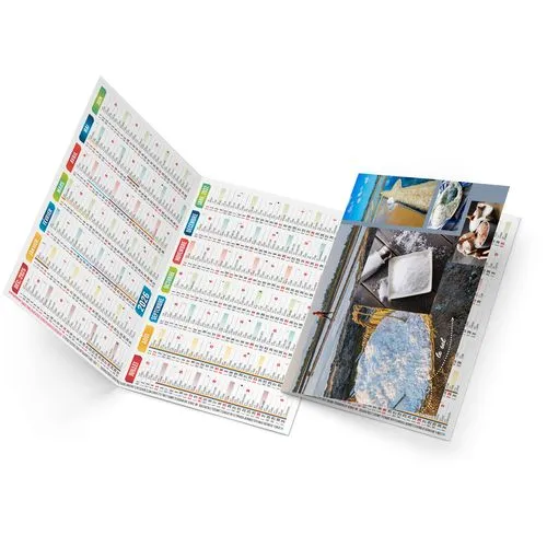 EMMA 2026 - NEUTRE 1 POSE