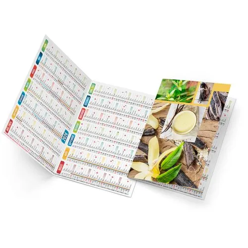 EMMA 2026 - NEUTRE 1 POSE