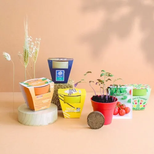 Kit de Plantation en Pot Bambou Personnalisable - Cadeau Écologique