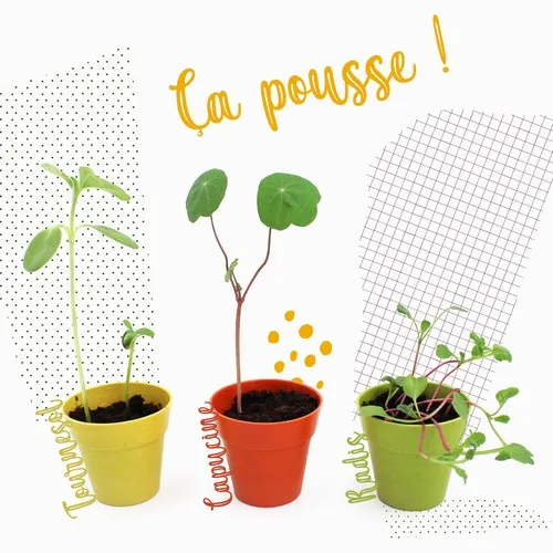 Kit de Plantation en Pot Bambou Personnalisable - Cadeau Écologique