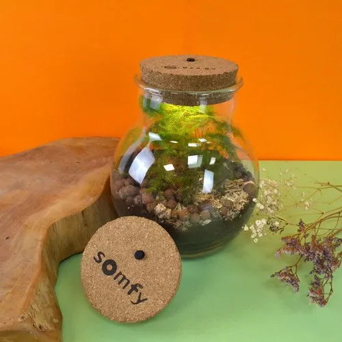 Terrarium lumineux LED personnalisable - Cadeau d'entreprise végétal