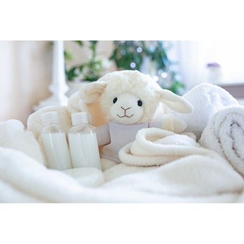 Mouton en Peluche Personnalisable avec T-shirt - Bleathany 18 cm