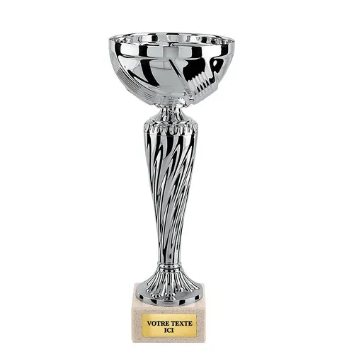 Coupe Argentée sur Socle Marbre - Trophée Prestige Personnalisable