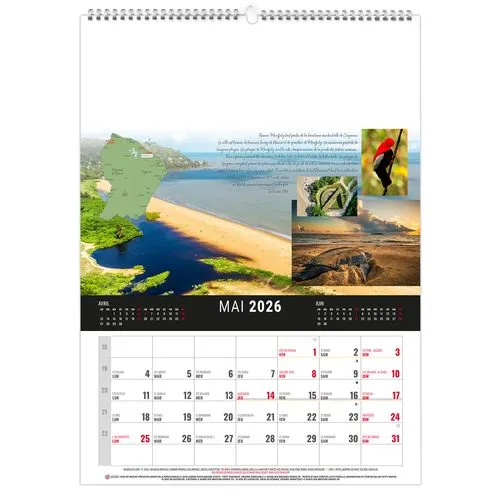 MURAL 12F - CAMOPI 2026 - QUADRI