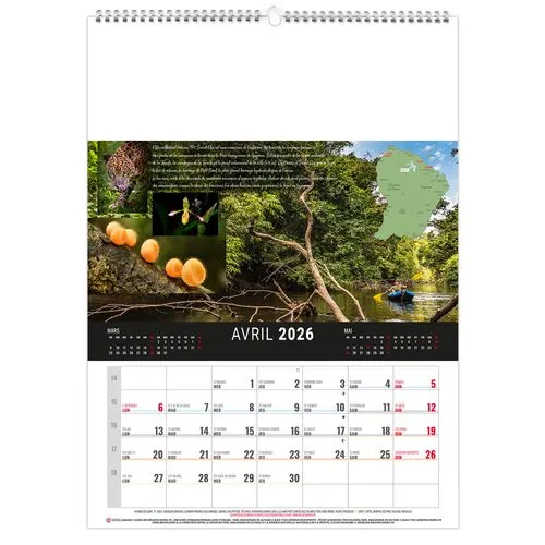 MURAL 12F - CAMOPI 2026 - QUADRI