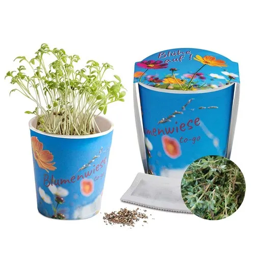 Prairie Fleurie Publicitaire en Pot Carton - Thym - Personnalisable