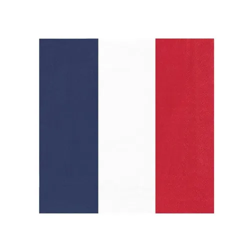 Serviettes Tricolores 33x33cm - Pack de 16 - Certification FSC