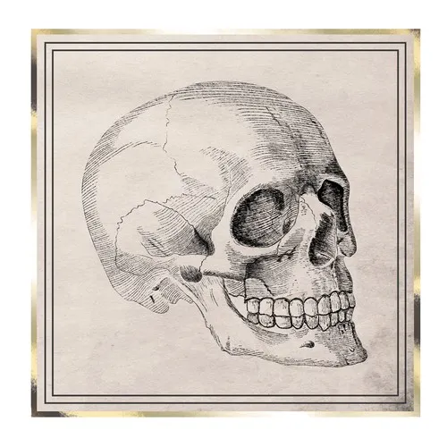 Serviettes Tricolores 33x33cm - Pack de 16 - Certification FSC