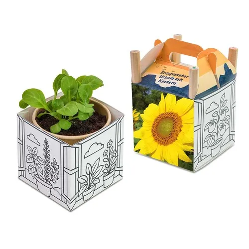 Cube créatif à planter - Graines et crayons personnalisables