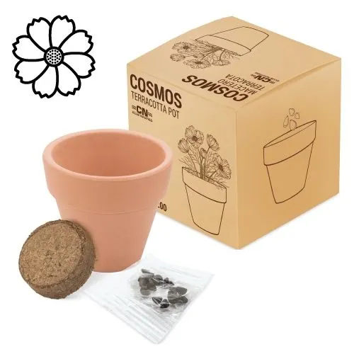 POT EN TERRE CUITE AVEC DES GRAINES DE PENSÉE "FLORAL"