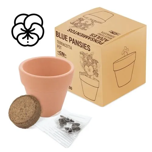 POT EN TERRE CUITE AVEC DES GRAINES DE PENSÉE "FLORAL"