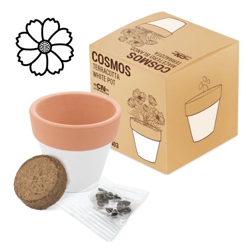 Pot en terre cuite blanc personnalisable avec graines publicitaires
