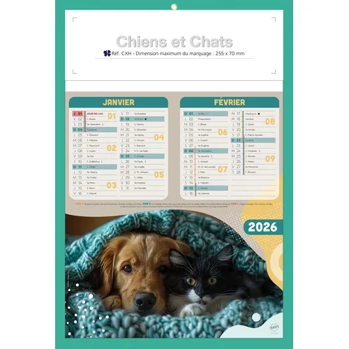 CHIENS ET CHATS