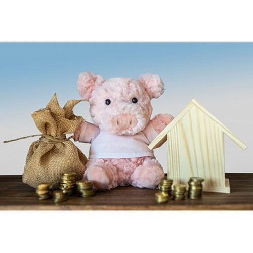 Cochon en Peluche Personnalisable avec T-shirt Sérigraphié