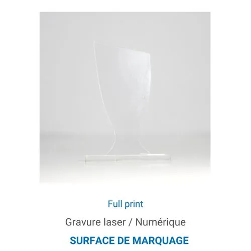 Trophée en plexiglas COUPE - France 3 mm