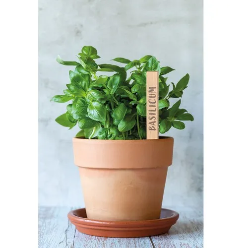 Cuillère en bois de hêtre personnalisable - Objet publicitaire écologique