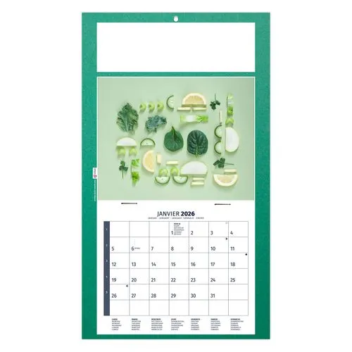 PLAQUE 1 VUE DIET 2026 - DOS CARTON - BLOC B2 - SANS MARQUAGE