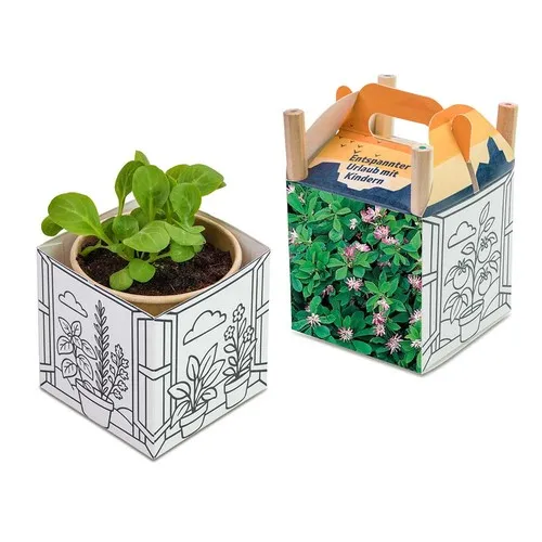 Cube à Colorier et Planter - Trèfle Persan - Cadeau Écologique