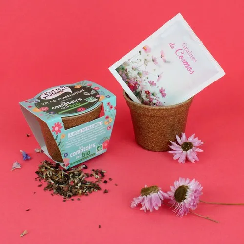 Kit Plantation Personnalisable en Pot Paille de Riz Écologique