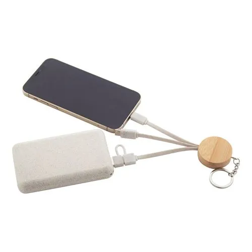 porte-clés chargeur USB Mugory
