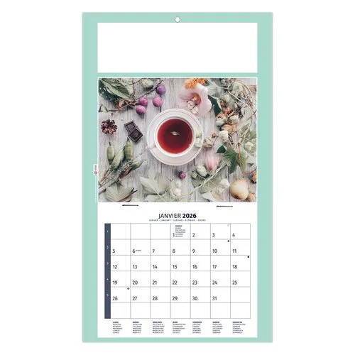 PLAQUE 1 VUE HOMEO 2026 - DOS CARTON - EURO BLOC - SANS MARQUAGE