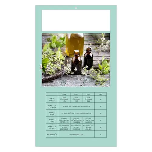 PLAQUE 1 VUE HOMEO 2026 - DOS CARTON - EURO BLOC - SANS MARQUAGE