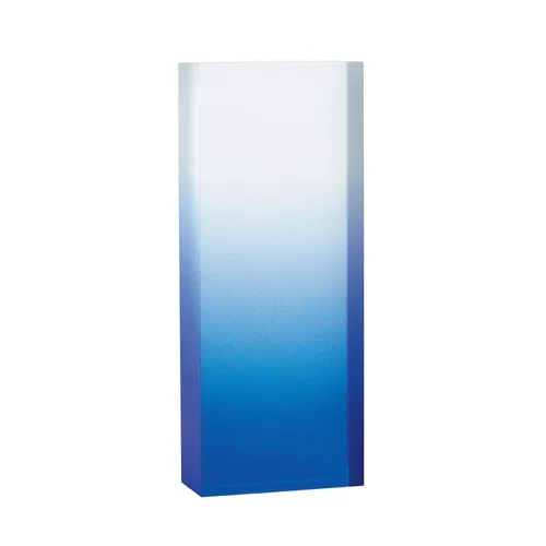 Trophée Acrylique Personnalisable - 5 Couleurs Disponibles