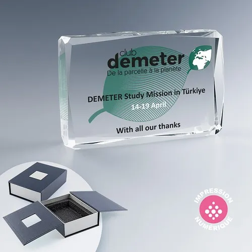Trophée Rectangle Facetté en Verre Optique Personnalisable