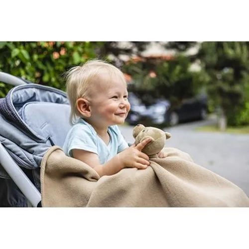 Ours avec une couverture | Phil