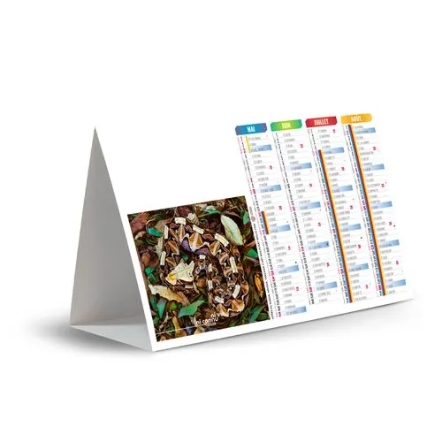 CHEVALET DE COMPTOIR - IMPRENABLE 2026 - QUADRI