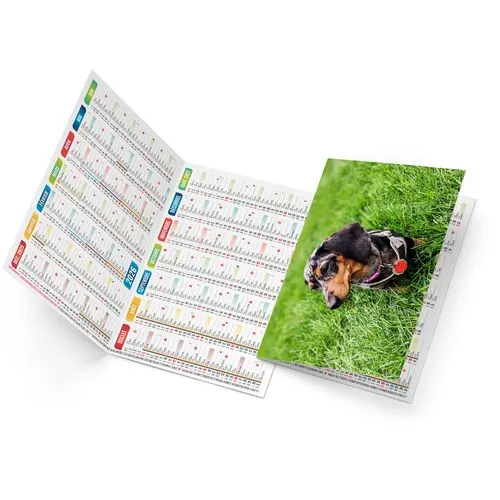 FIDELE 2026 - NEUTRE 1 POSE