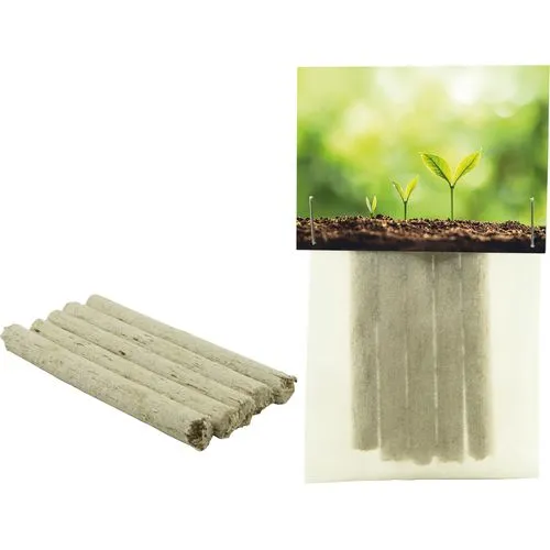 Mini Caisse Herbe à Chat Personnalisable - Cadeau Écologique