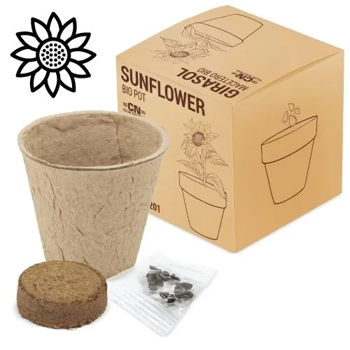 POT AVEC DES GRAINES BIO "RAMILLETE" (TOURNESOL)