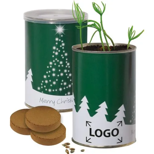 Canette Sapin de Noël à Planter - Cadeau d'Entreprise Original