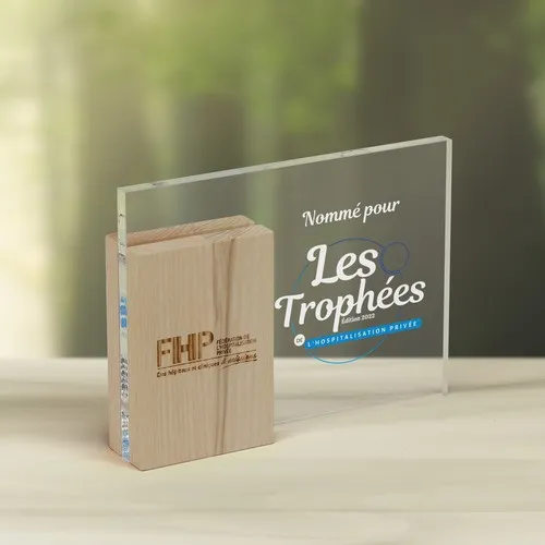 Trophée Plexiglass et Bois Personnalisable - 200x150x40 mm