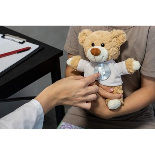 Ours en Peluche Personnalisable avec T-shirt Imprimé 18 cm