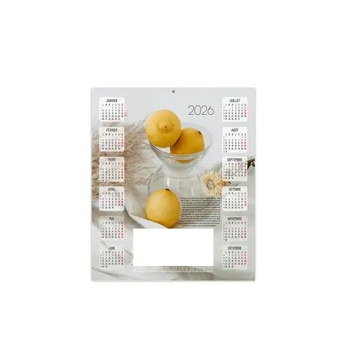 ESTAMPE - SILENE 2026 - CARRE 325 X 350 mm - QUADRI