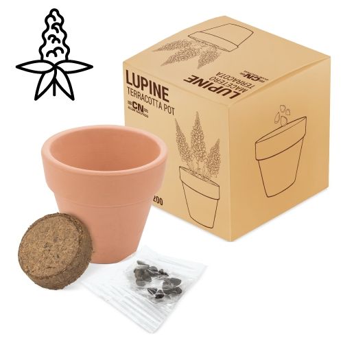 Pot terre cuite avec graines de cosmos personnalisable par sérigraphie