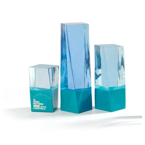 Trophée personnalisé par sérigraphie - Récompense professionnelle