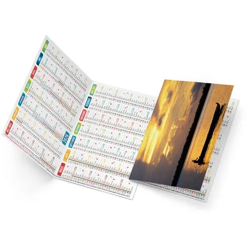 ELLA 2026 - NEUTRE 1 POSE