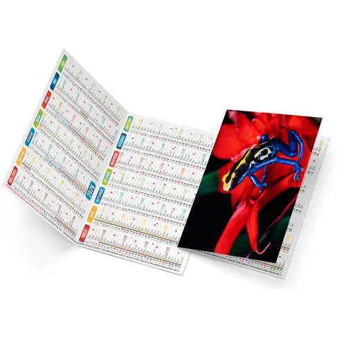 ELLA 2026 - NEUTRE 1 POSE