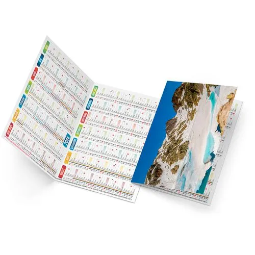 ROBERTO 2026 - NEUTRE 1 POSE