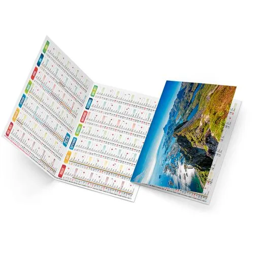 ROBERTO 2026 - NEUTRE 1 POSE